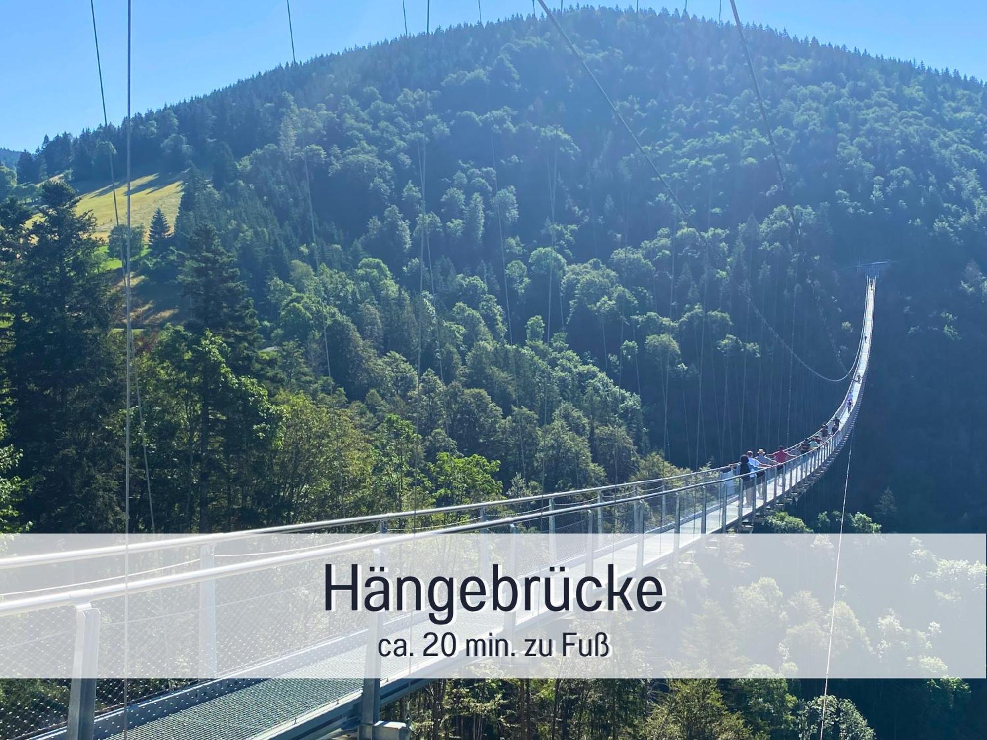Baechle Im Wanderparadies Balkon Mit Blick Auf Den Bach Sauna Im Haus Tiefgarage E-Ladestation Todtnauberg Exterior foto